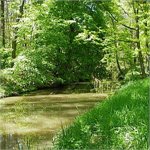 Opatovicky kanal za Bohdanci