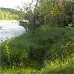 Ráno na břehu Isaru (km 196)  7/2022