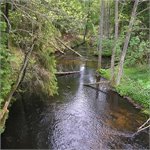 Brda na r.km 202