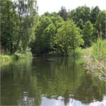Brda u Sąpolno