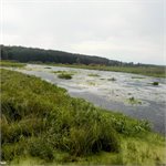 Brda - rezervace Osiedle Kormoranów