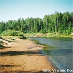 Gauja