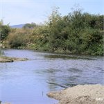 Balog nad Iplom