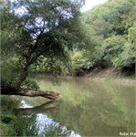 mezi Salkou a Chĺabem