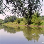 Latorica