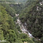 Morača