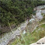 Morača