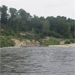Nysa