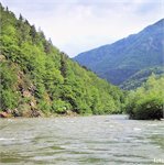 Orava