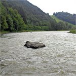 PL  Piwniczna Zdrój - Stary Sacz