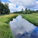 Trątkownica