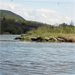 Soutok Berounky s Vltavou 