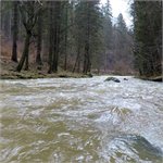 Březná pod Štíty, 24.02.2020, 102 cm (6m3/s)