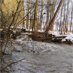 Meandry a zátarasy pod Fořtem