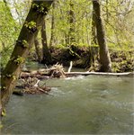 Meandrující koryto pod Šumperkem