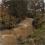 Dolní Kalná - přítok Olešnice