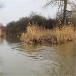 Soutok Štítarského potoka (vpravo) a Mrliny