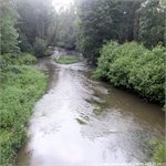Tábořiště Boreček