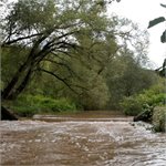 Stupně na potoce před Městečkem, 09/2020, 2 m3/s