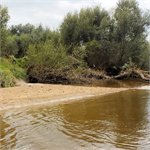 Štěrkopískové drobné pláže na dolní Smědé v PR Meandry Smědé za stavu 28 cm, 2,3 kubíků