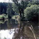 Smutná nad Srlínem