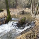 Nejhořejší úsek u Klenovice pod Mlýnským rybníkem