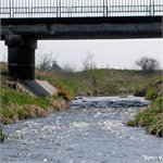 Ratenice