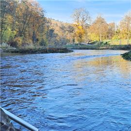 SVRATKA REDIVIVUS aneb Takový malý průplach Brnem