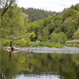 Sála - sestra Vltavy