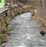 Jeřice