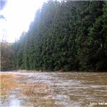 Řeka pod Dolním Bradlem za stavu 27 kubíků v Přemilově